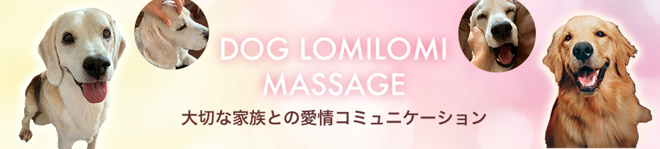 大切な家族との愛情コミュニケーション　DOG LOMILOMI MASSAGE　ドッグロミロミマッサージ